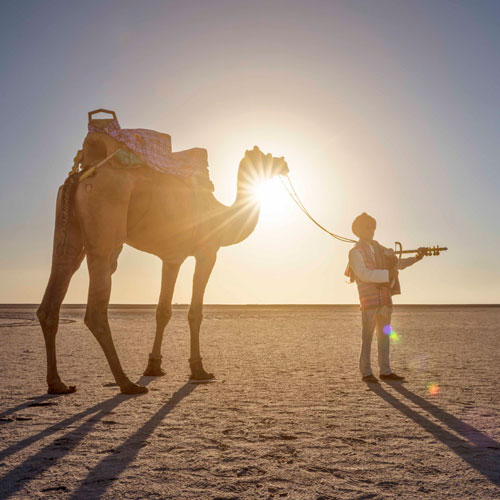 Little Rann Of Kutch