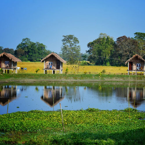 Majuli Island