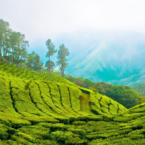 Munnar