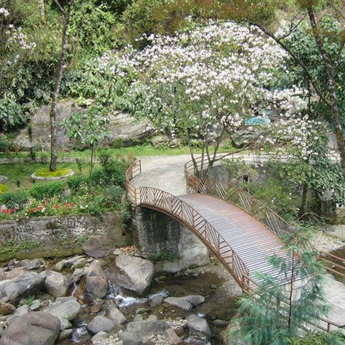 The Shrubbery Nightingale Park