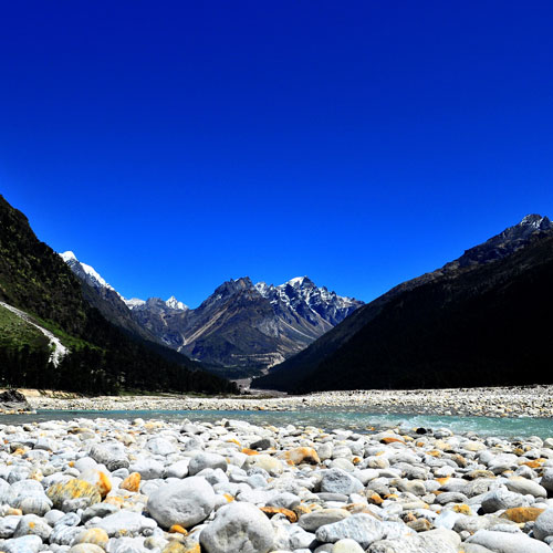 Yumthang Valley