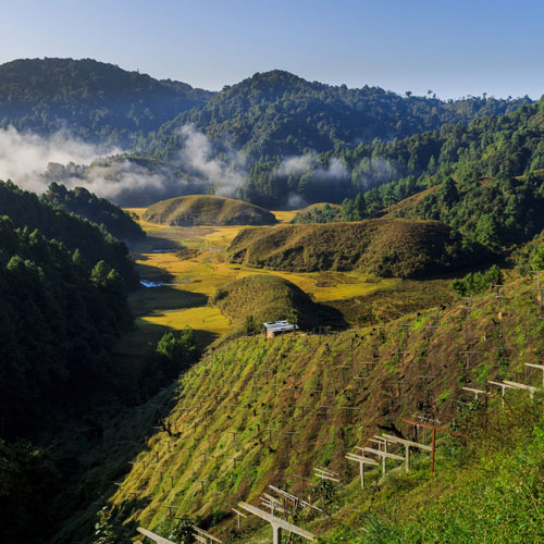 Ziro Valley