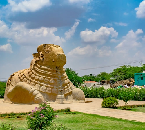 Andhra Pradesh Delight