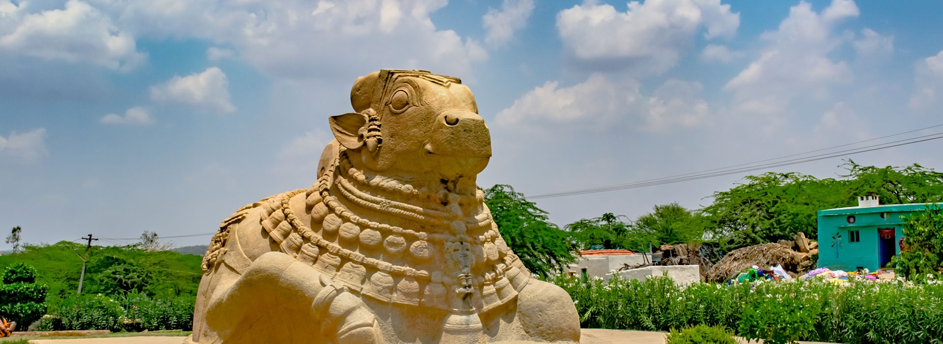 Andhra Pradesh Delight