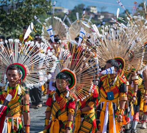 Dzukou Valley Trekking