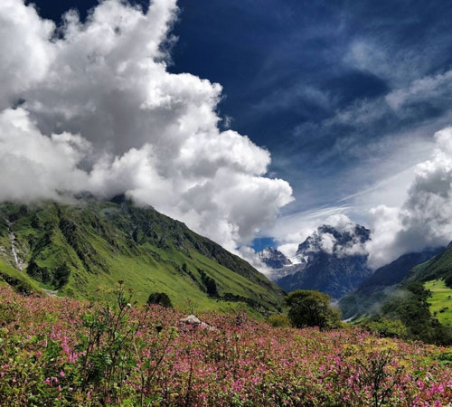 7 Day Uttarakhand Tour